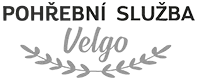 logo-velgo.png — logo