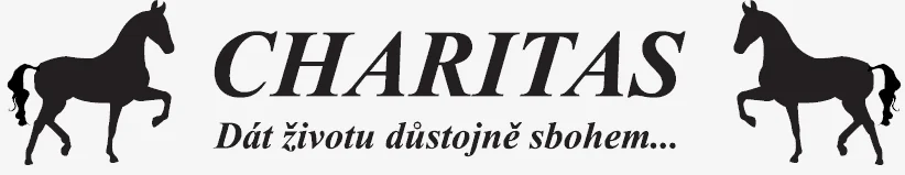 charitas-logo.png — logo