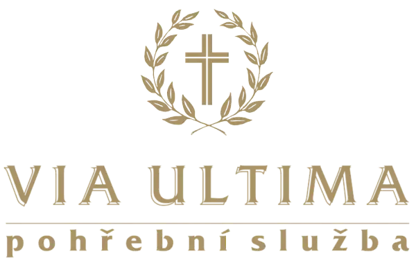 via_ultima.webp — logo