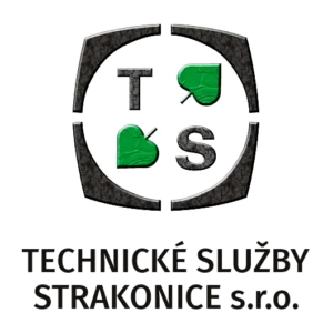 tsst-logo.png — logo
